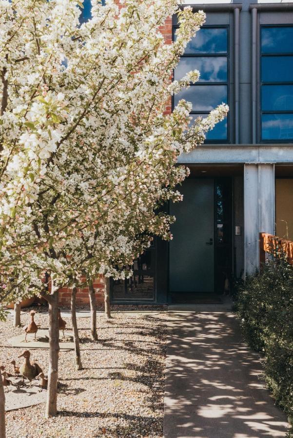 Mews Cottages Gisborne Εξωτερικό φωτογραφία